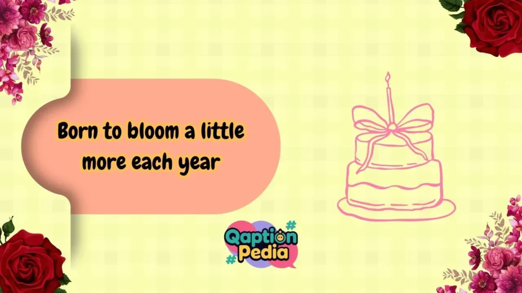 Short birthday captions for yourself aesthetic