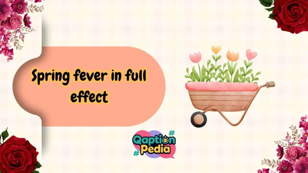  Funny Spring Captions