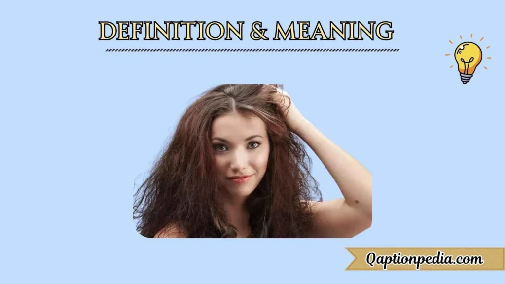 Definition & Meaning