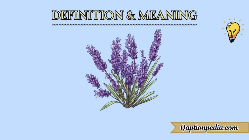 Definition & Meaning