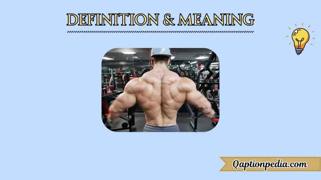 Definition & Meaning