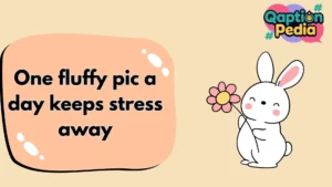 Bunny Captions