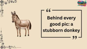 Donkey Captions