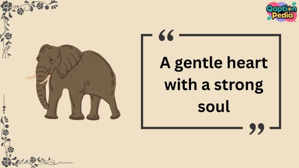 Elephant Captions