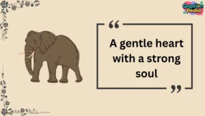 Elephant Captions