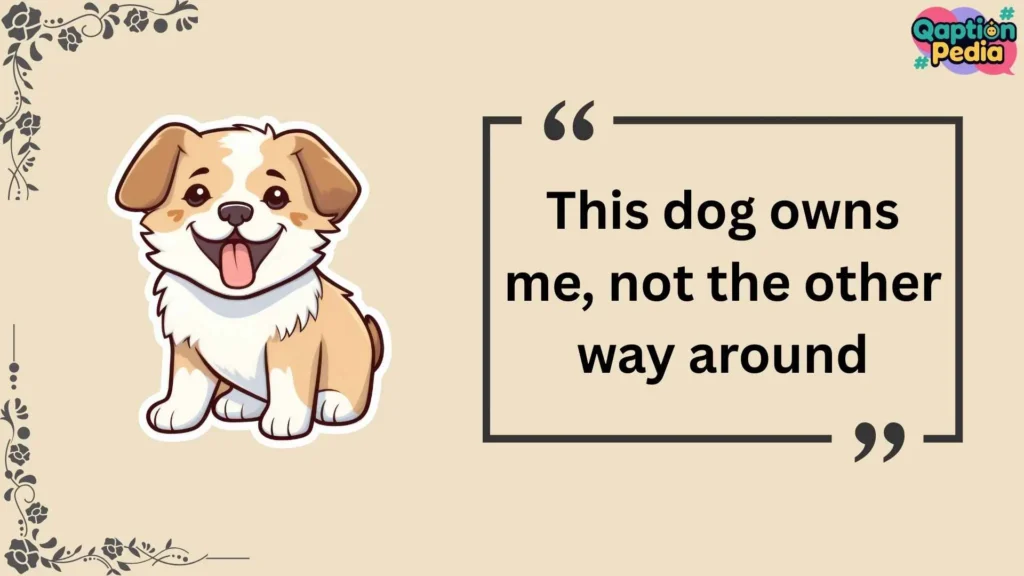 National Dog Day Instagram Captions