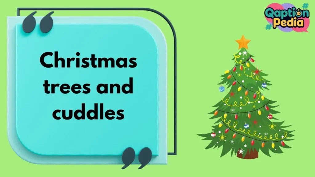 The Best Christmas Tree Instagram Captions