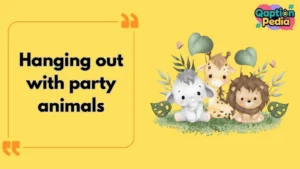zoo captions
