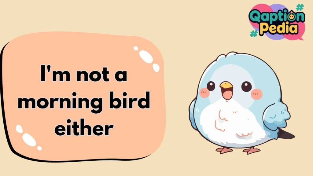Birds Captions