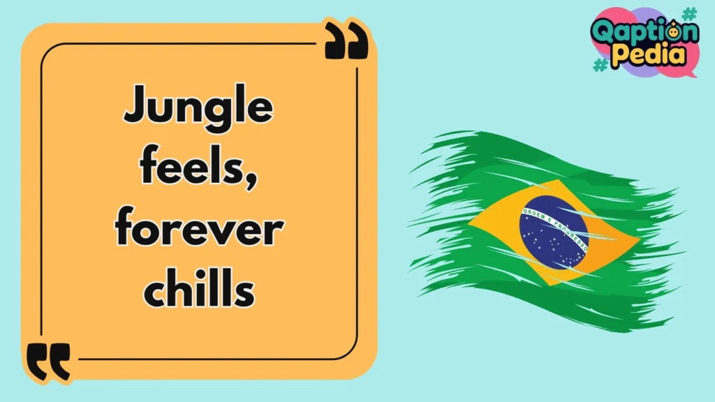 Brazil Captions