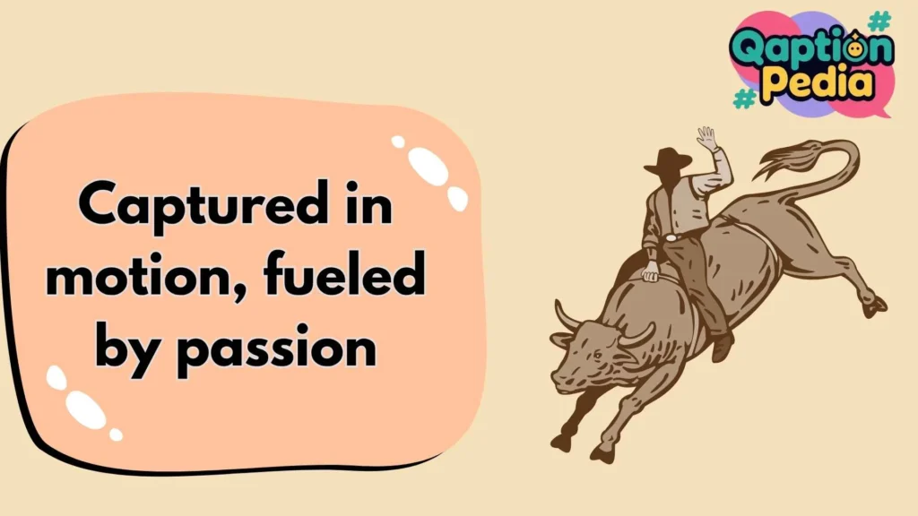 Bull Riding Captions