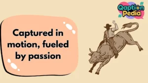 Bull Riding Captions