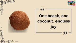 Coconut captions