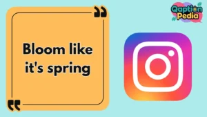 Good Instagram Captions for Girls