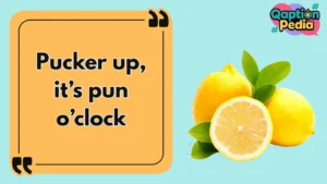 Lemon Captions