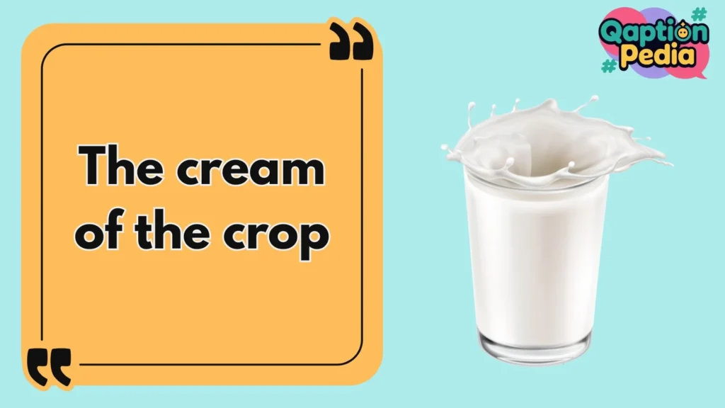 Milk Captions