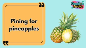 Pineapple Captions