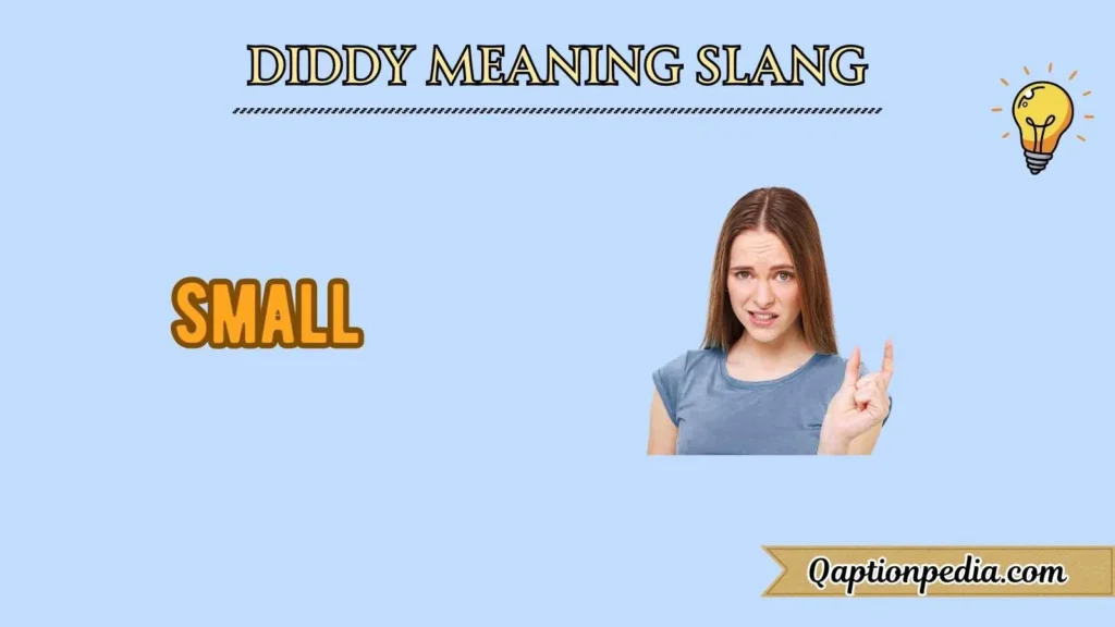 Diddy Meaning Slang