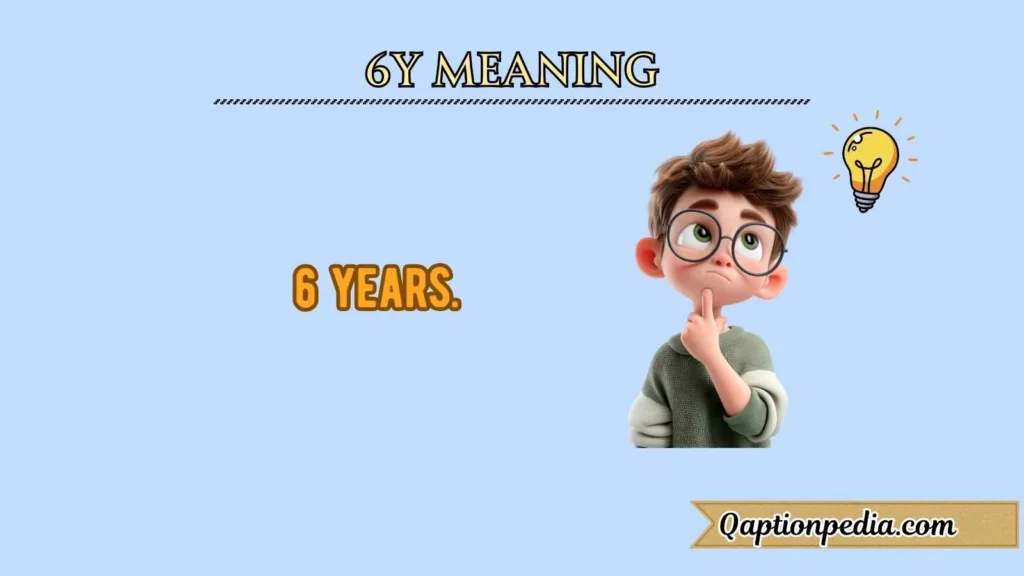 6y meaning