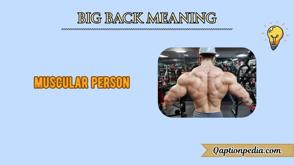 Big Back Meaning