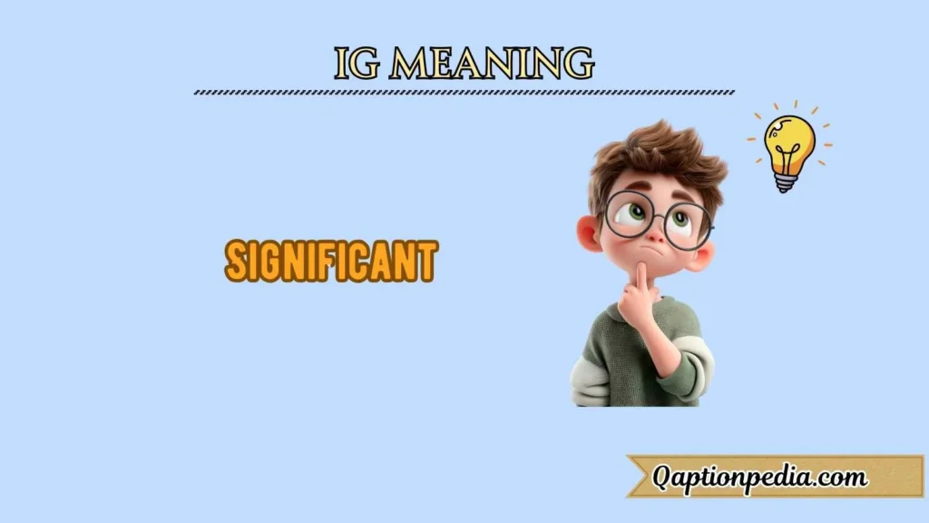 Ig Meaning