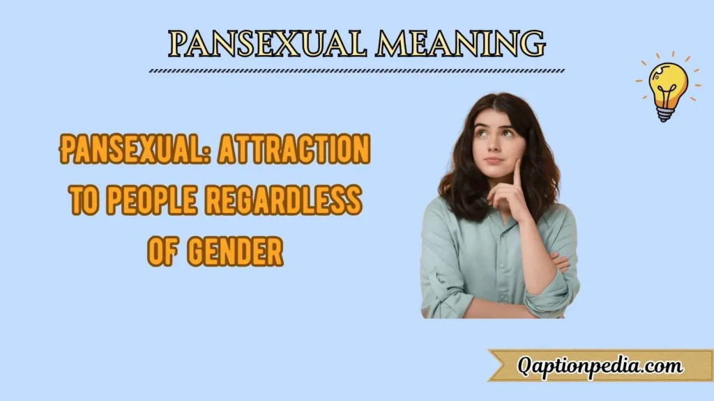 Pansexual Meaning