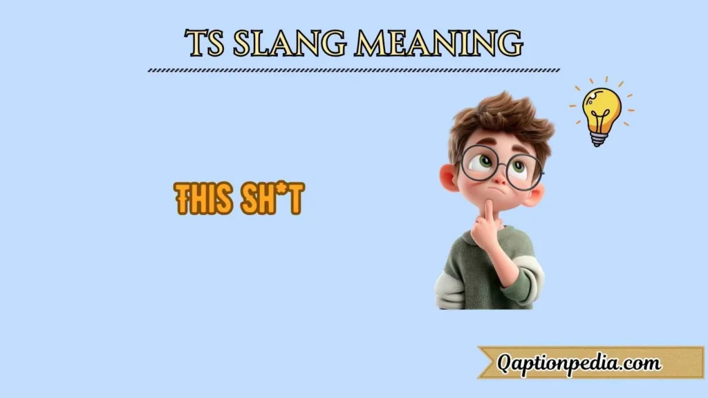 TS slang meaning