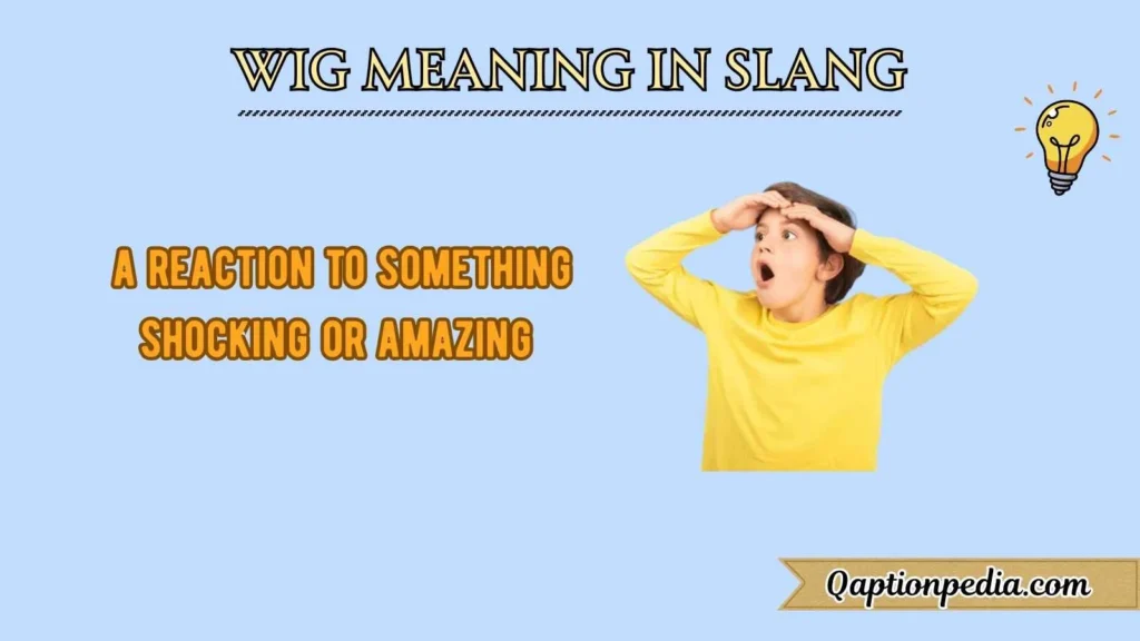 Wig Meaning In Slang